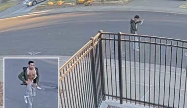 Knife-wielding lunatic storms into random California family's garage and slashes mom and daughter