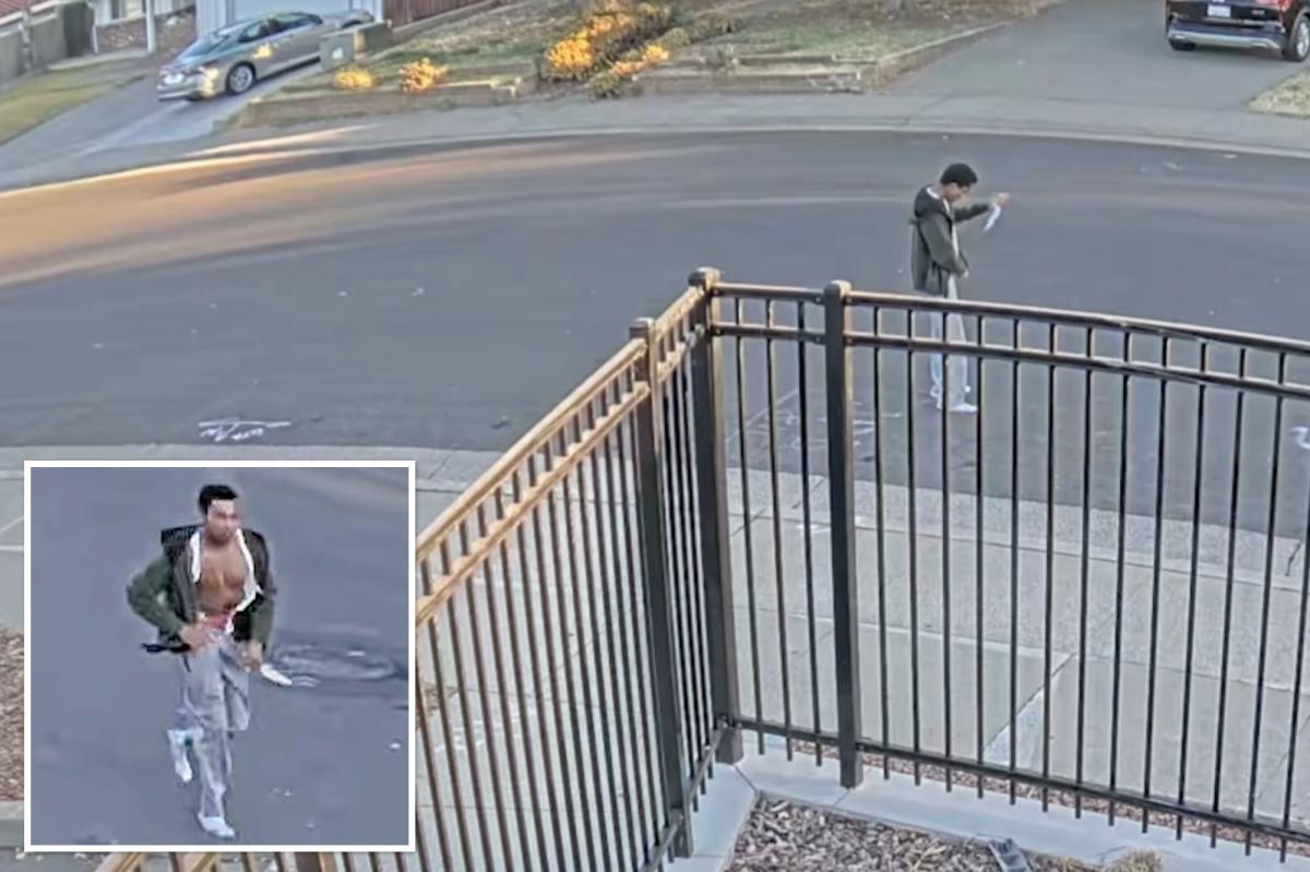 Knife-wielding lunatic storms into random California family's garage and slashes mom and daughter