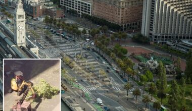 San Francisco tree removal sparks backlash over $40M park renovation