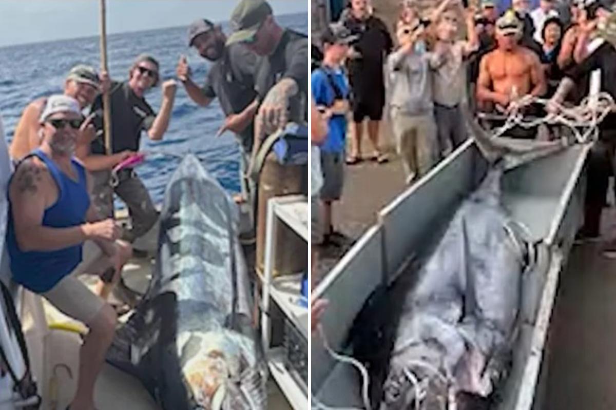 Fishermen catch record-breaking marlin off San Diego coast