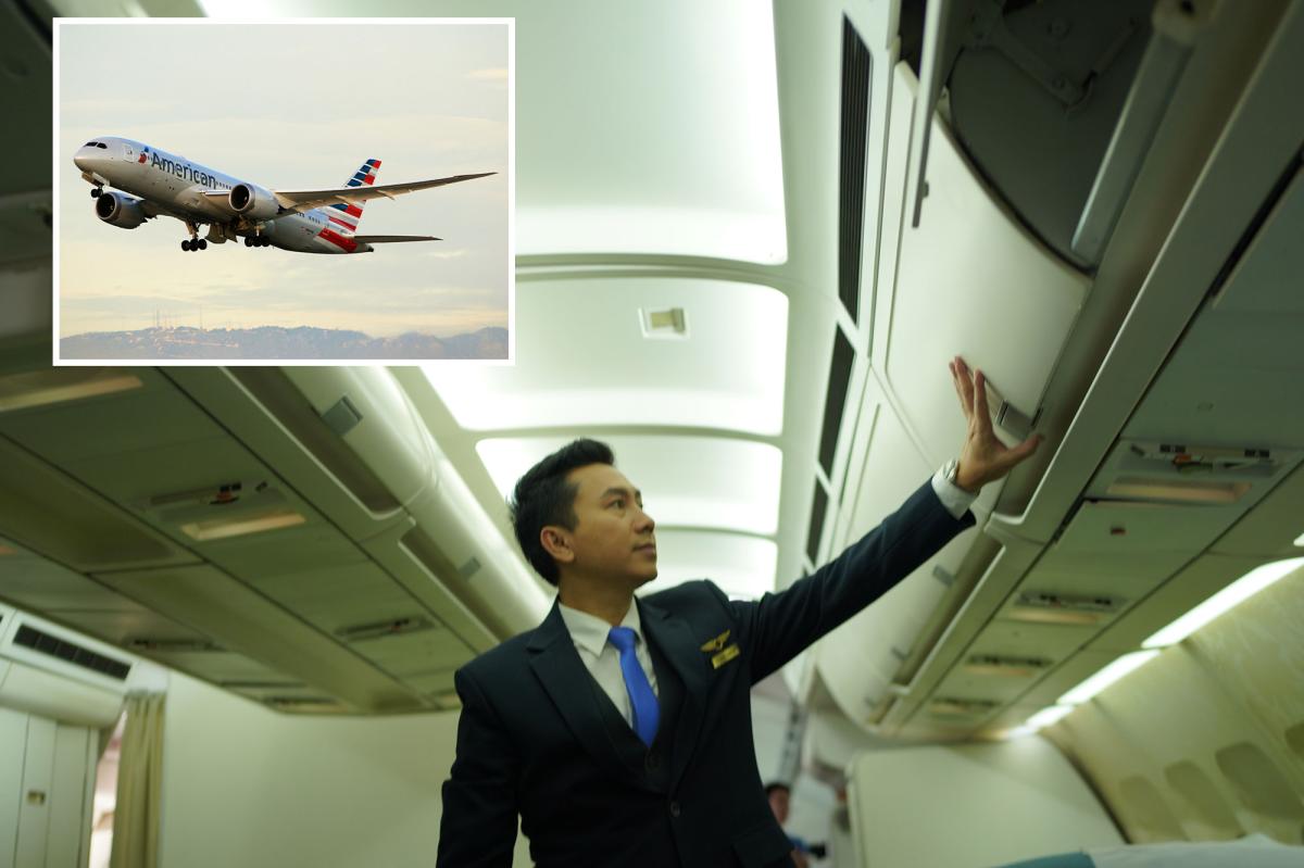 California flight attendants fight FAA plan to end state-mandated meal breaks