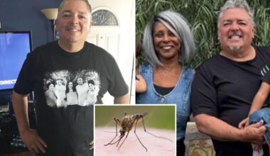 Anaheim father dies from West Nile Virus as SoCal detections surge