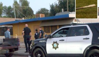 Baseball bat attack sends several to hospital after road rage incident