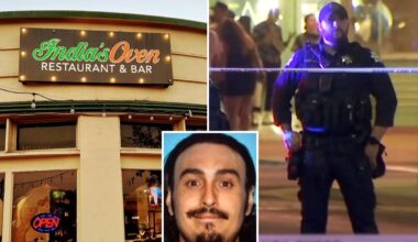 Dine-and-dasher struck by hit-and-run driver in Fresno