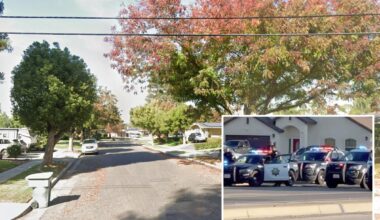 Mass stabbing at California house party leaves several hospitalized