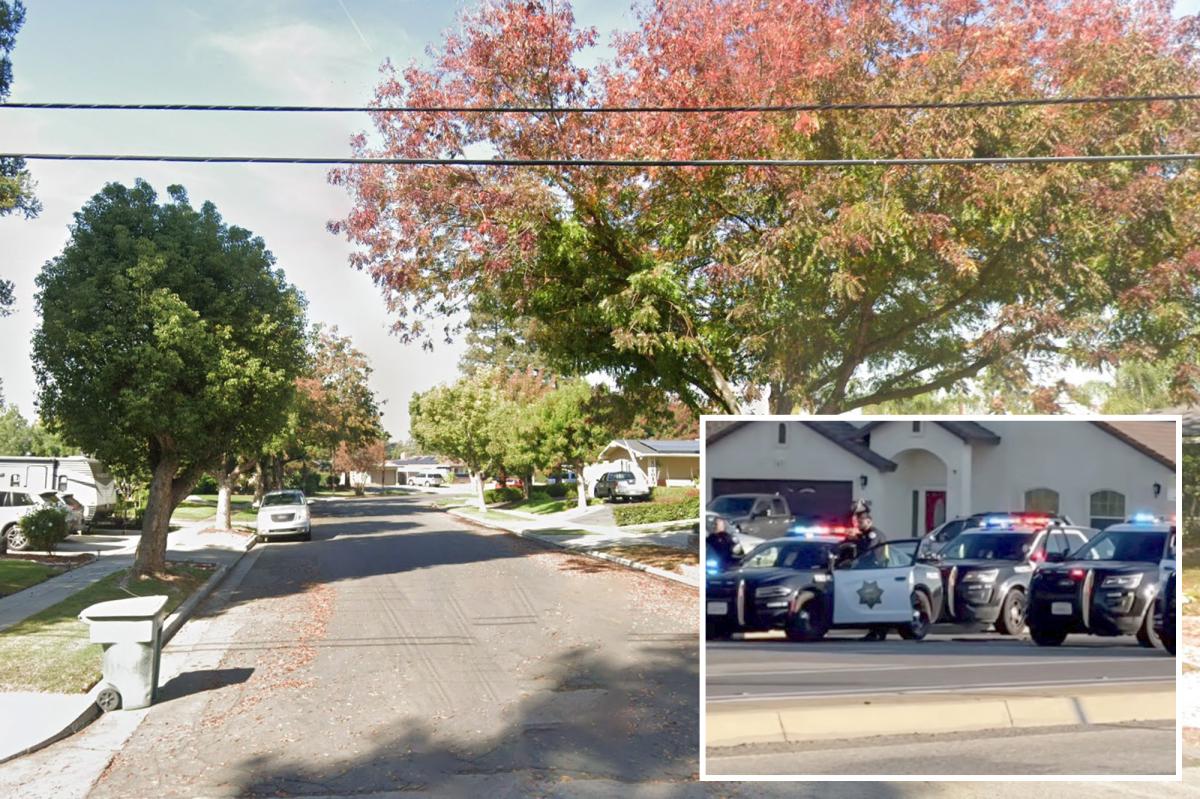Mass stabbing at California house party leaves several hospitalized