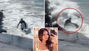 Celebrity publicist rescues unconscious LA surfer from rough surf
