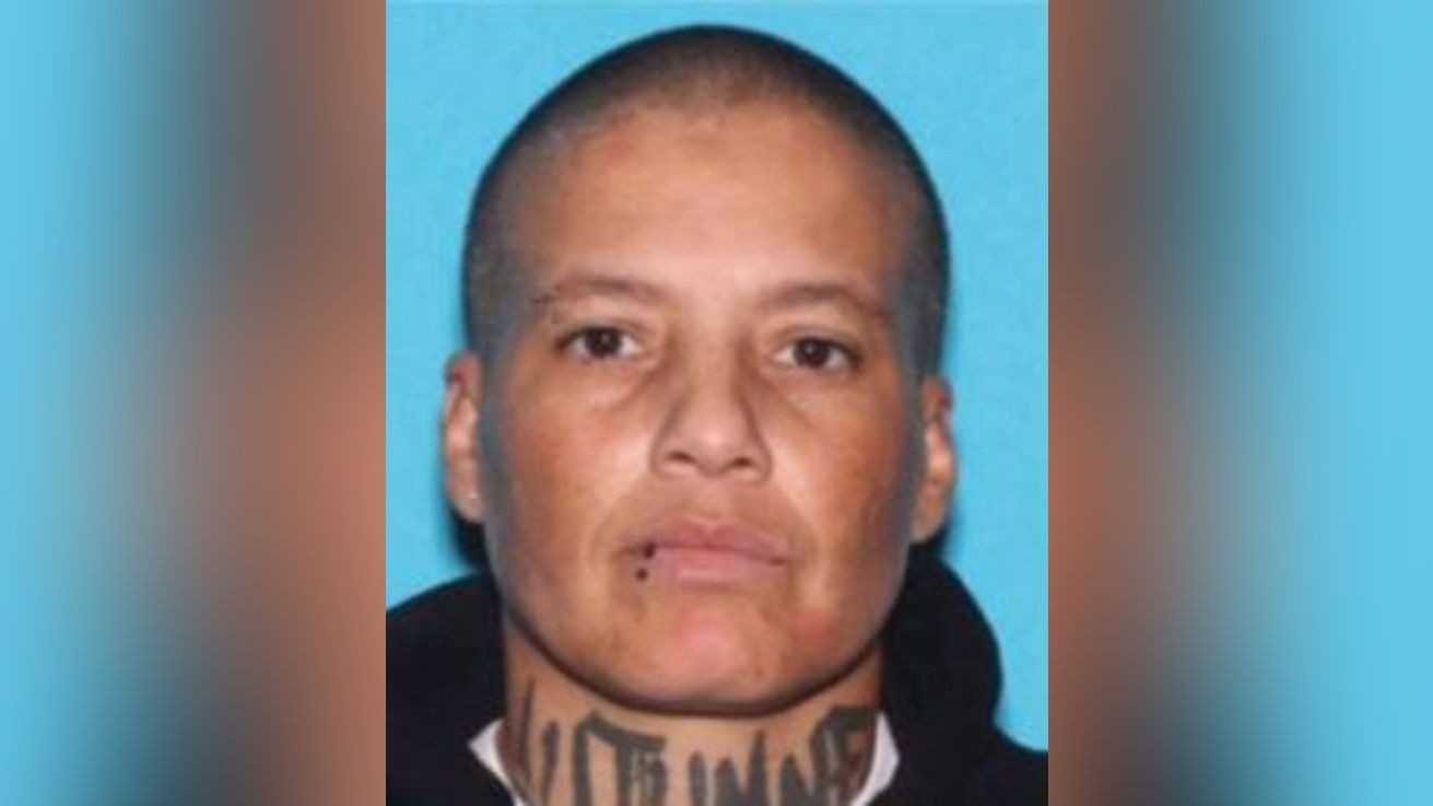 License plate reader alert leads Fresno police to stolen car; driver arrested