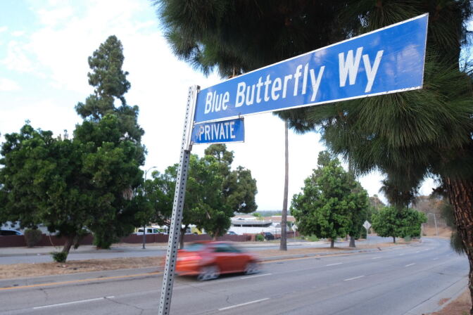 A blurred orange car speeds past a blue street sign that reads "Blue Butterfly Way — Private."
