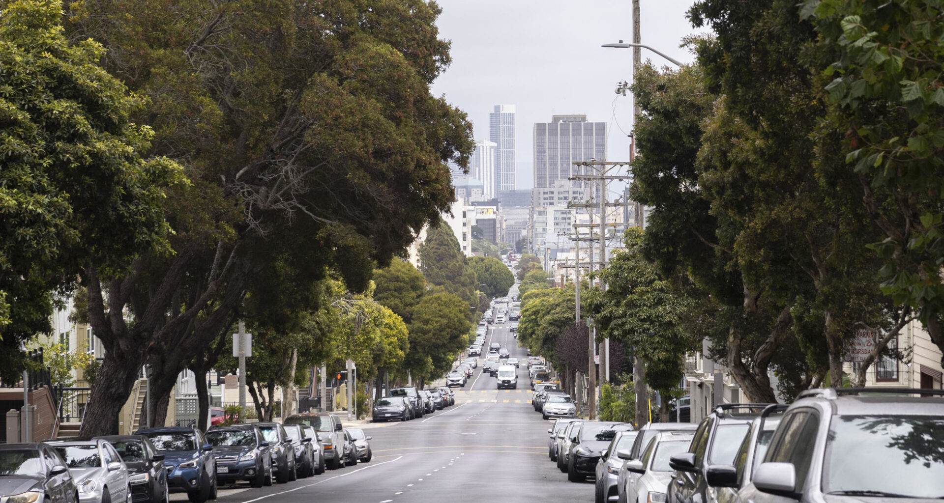 ‘Lurie vs. Lorax?’ San Francisco Tree Advocates Bring Planting Fight to City Hall