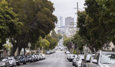 ‘Lurie vs. Lorax?’ San Francisco Tree Advocates Bring Planting Fight to City Hall