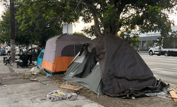 Inside Safe Program Houses Nearly 20 in Palms Operation