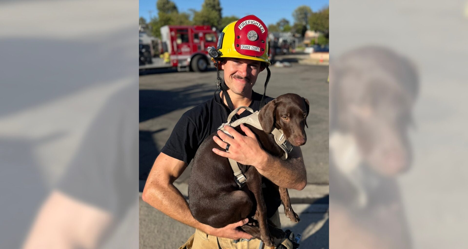 Dog rescued from Santa Ana house fire, 1 person hospitalized – San Bernardino Sun