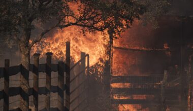 Deal on California Wildfire Liability Collapses in Legislature