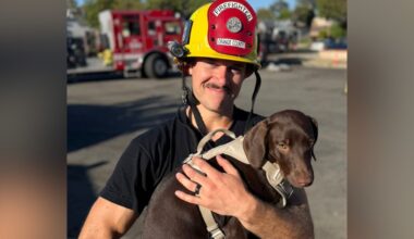 Dog rescued from Santa Ana house fire – NBC Los Angeles