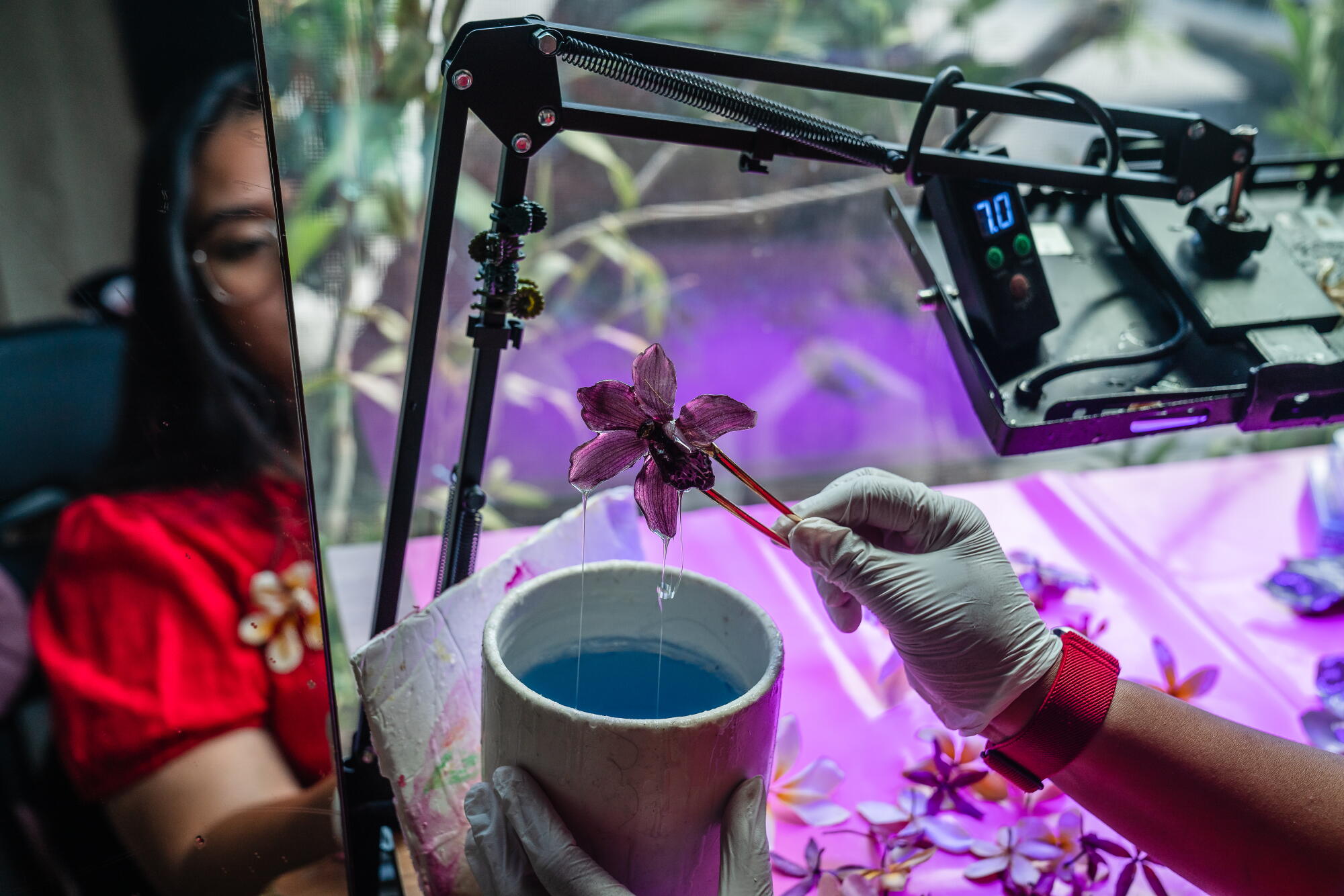 Artist Bunga Vidanska dips a Cymbidium orchid into resin in her work studio.