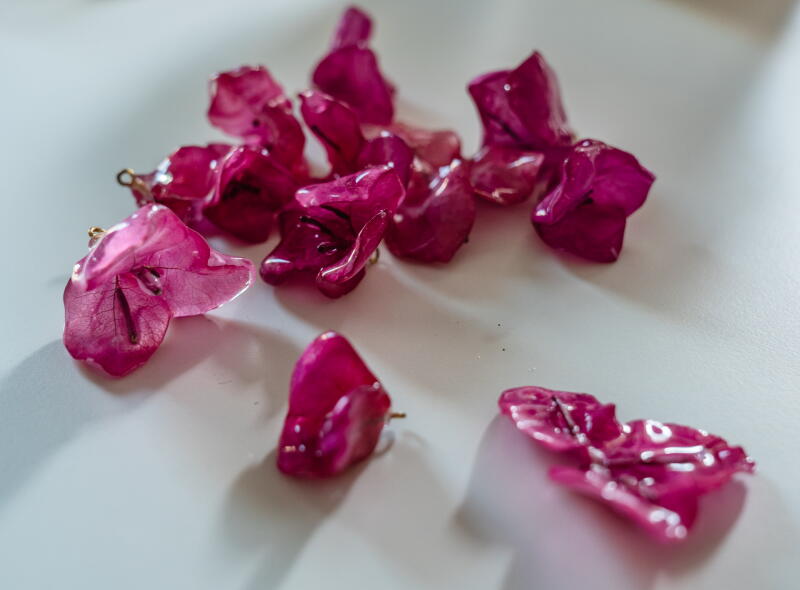Bougainvillea after they were dipped in resin.