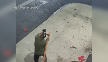 Repeat vandal caught by Fresno business in citizen’s arrest | YourCentralValley.com