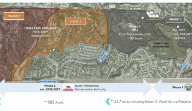 Saving the Rest of West Coyote Hills in the Final Stretch