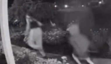 Oakland County porch pirates caught on camera stealing packages, police investigating