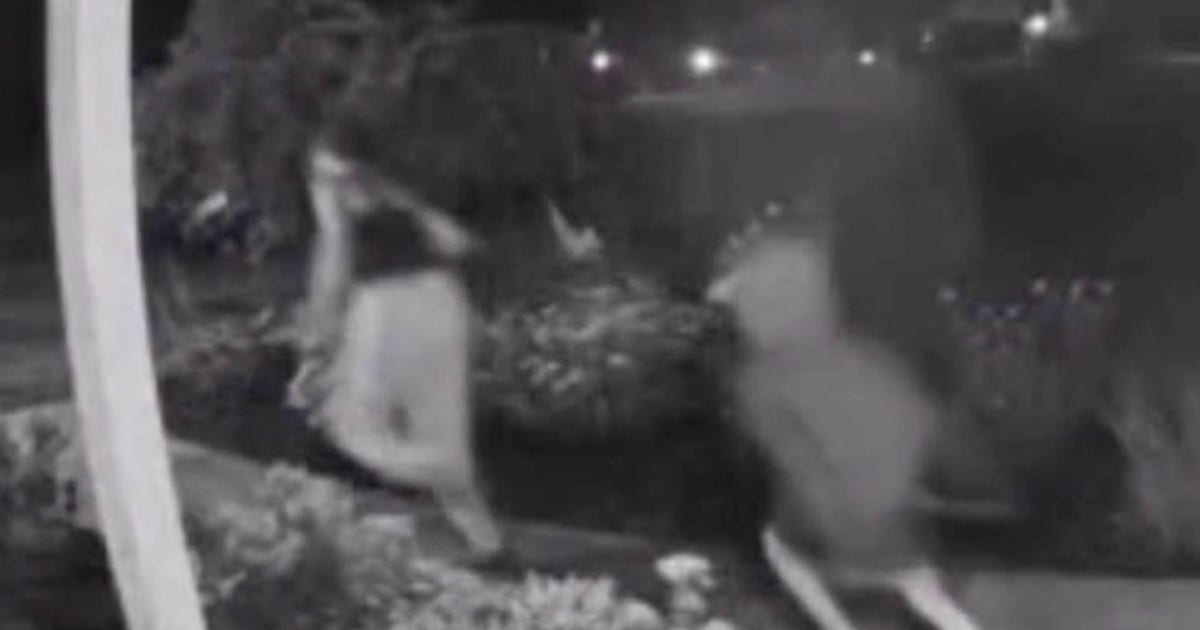 Oakland County porch pirates caught on camera stealing packages, police investigating