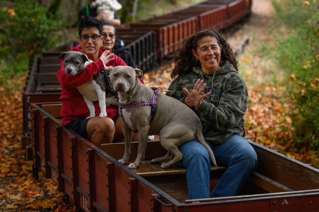 Maisie sits on the lap of her owner Cynthia Espinoza, of Oakland, as Christi Amaral, of Oakland, holds onto Sasha while riding the steam train at the Redwood Valley Railway at Tilden Regional Park in Orinda, Calif., on Monday, Aug. 31, 2026. Dogs and kids under the age of two ride the train for free. (Jose Carlos Fajardo/Bay Area News Group)