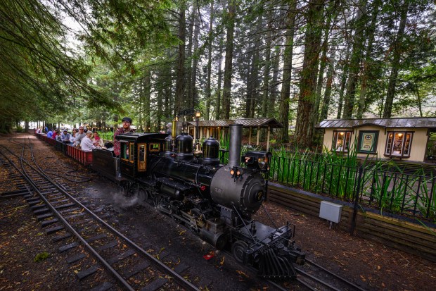 A steam train operated by engineer Bailey de Vries pulls into the station at the Redwood Valley Railway at Tilden Regional Park in Orinda, Calif., on Monday, Aug. 31, 2026. Visitors are treated to a 12-15 minute ride on a 15-inch gauge track which was built back in 1952. (Jose Carlos Fajardo/Bay Area News Group)