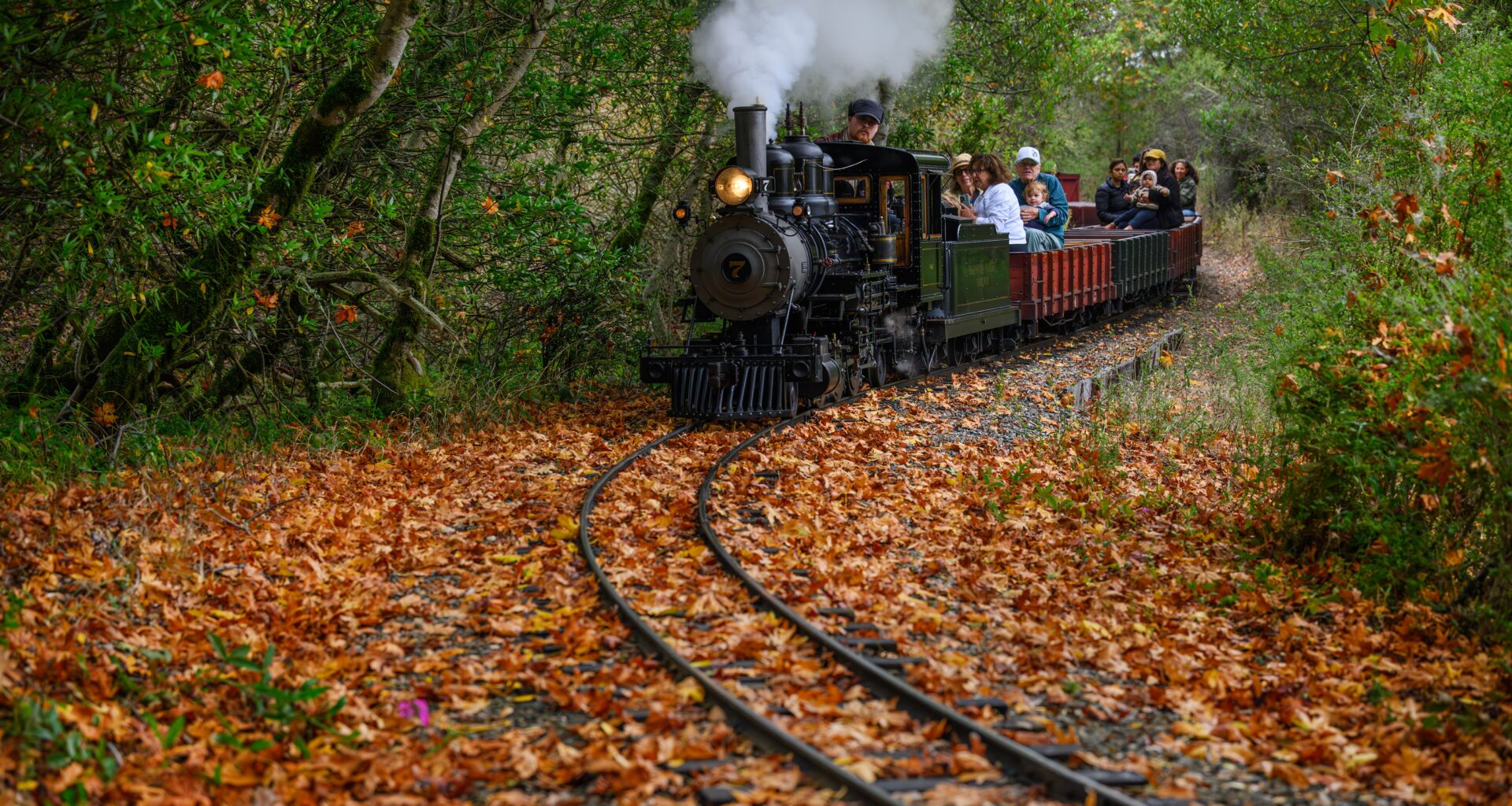 Steam trains in Tilden Park offer scenic trips through towering Redwoods