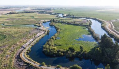 An aerial shot of water channels meandering through green fields.