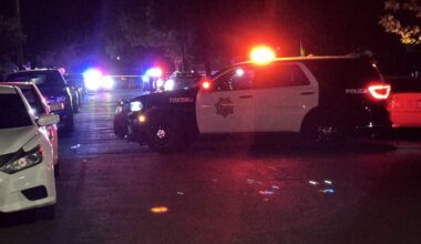 2-year-old among three shot in Fresno backyard
