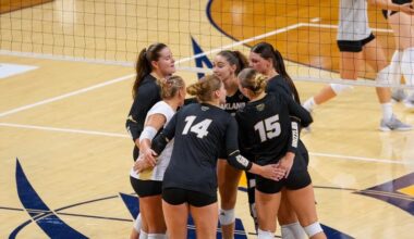 Golden Grizzlies Fall to Cincinnati on Sunday