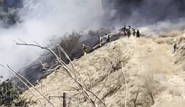 Woman, 2 children die after small plane crashes in California