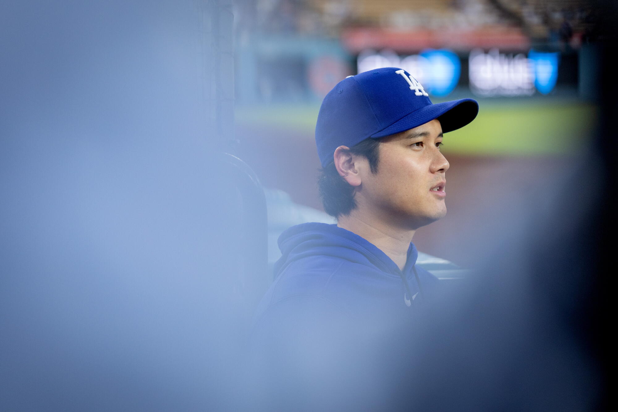Dodgers star Shohei Ohtani watches from the dugout during a game against the St. Louis Cardinals.