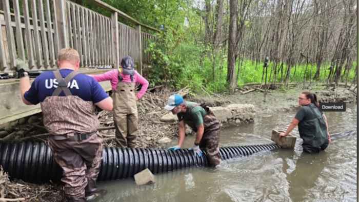 Oakland University launches first-of-its-kind study into beaver coexistence