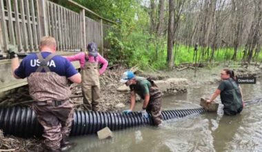 OU launches first-of-its-kind study into beaver coexistence