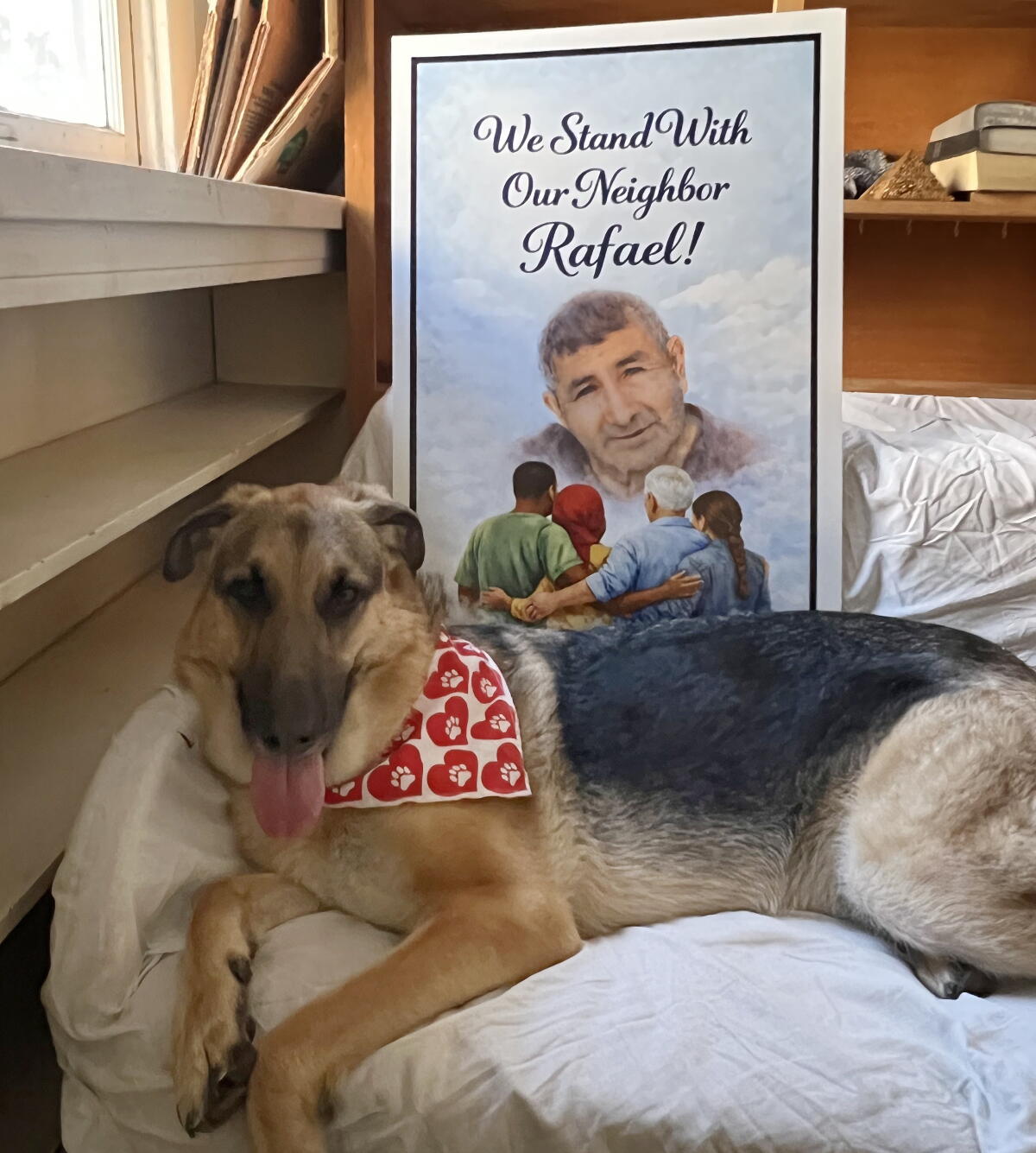 Rafael Vela Gonzalez's dog, Chico, had to be rehoused.