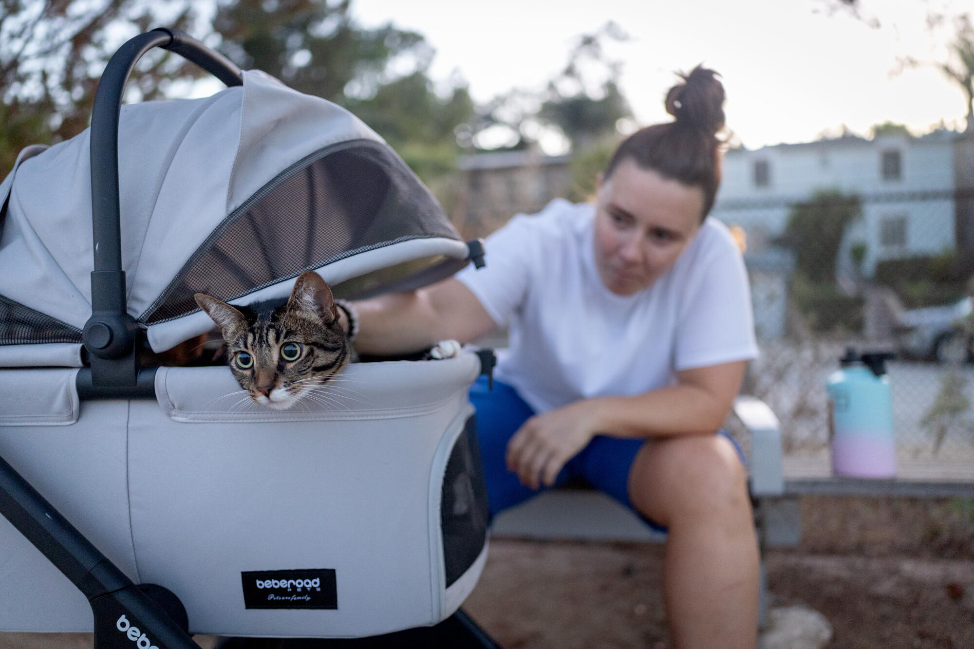 Allison Nill pets her cat Lana during a walk around the Silver Lake Reservoir.