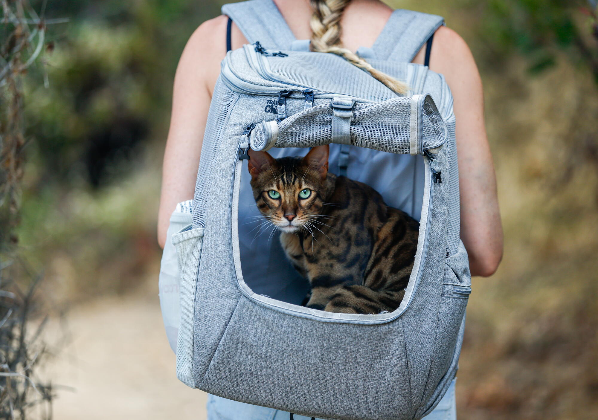 Sophie Meister carries 3-year-old Bengal cat Taita in a backpack while hiking a trail near Hollywood Reservoir.