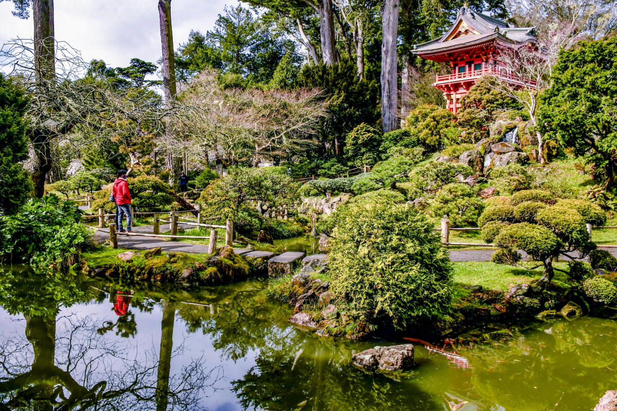 The Japanese Tea Garden in Golden Gate Park, San Francisco.