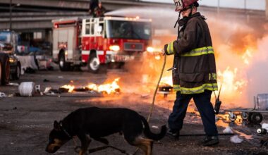 Oakland fire crews rescue 1 person, 3 dogs near West Oakland BART track
