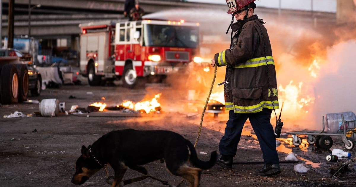 Oakland fire crews rescue 1 person, 3 dogs near West Oakland BART track