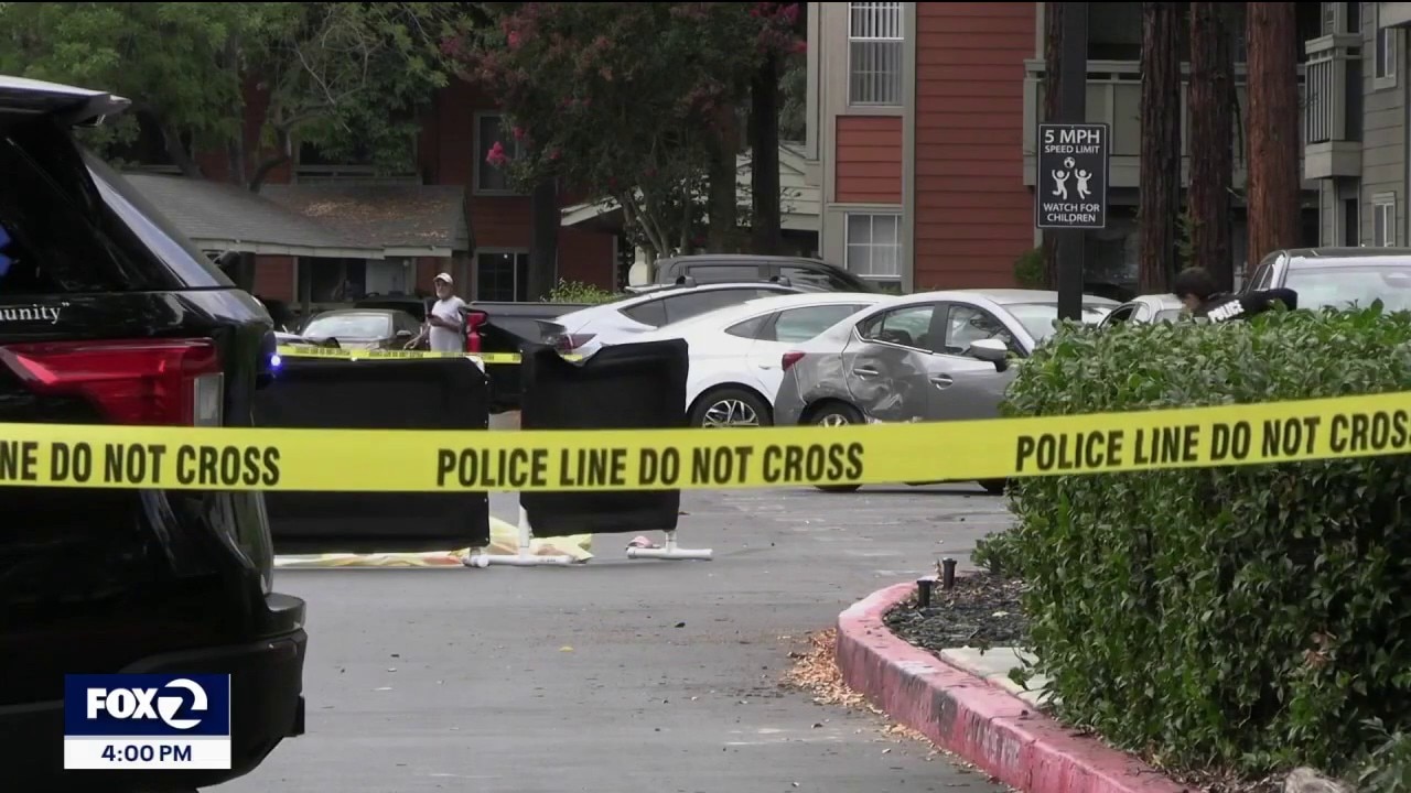 Milpitas woman accused of intentionally running over, killing friend: court docs