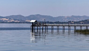 California’s biggest lake is in crisis. Now tribes are coming back to save its sacred fish