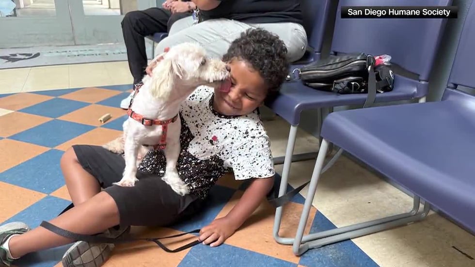 A missing dog was reunited with his family after nearly three years, thanks to a microchip.