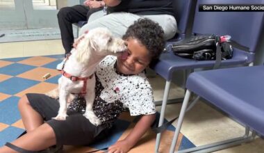 Microchip led San Diego Humane Society to Colby's family