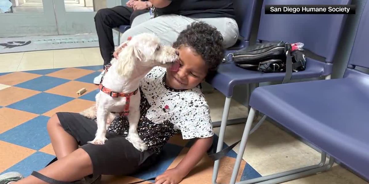 Microchip led San Diego Humane Society to Colby's family