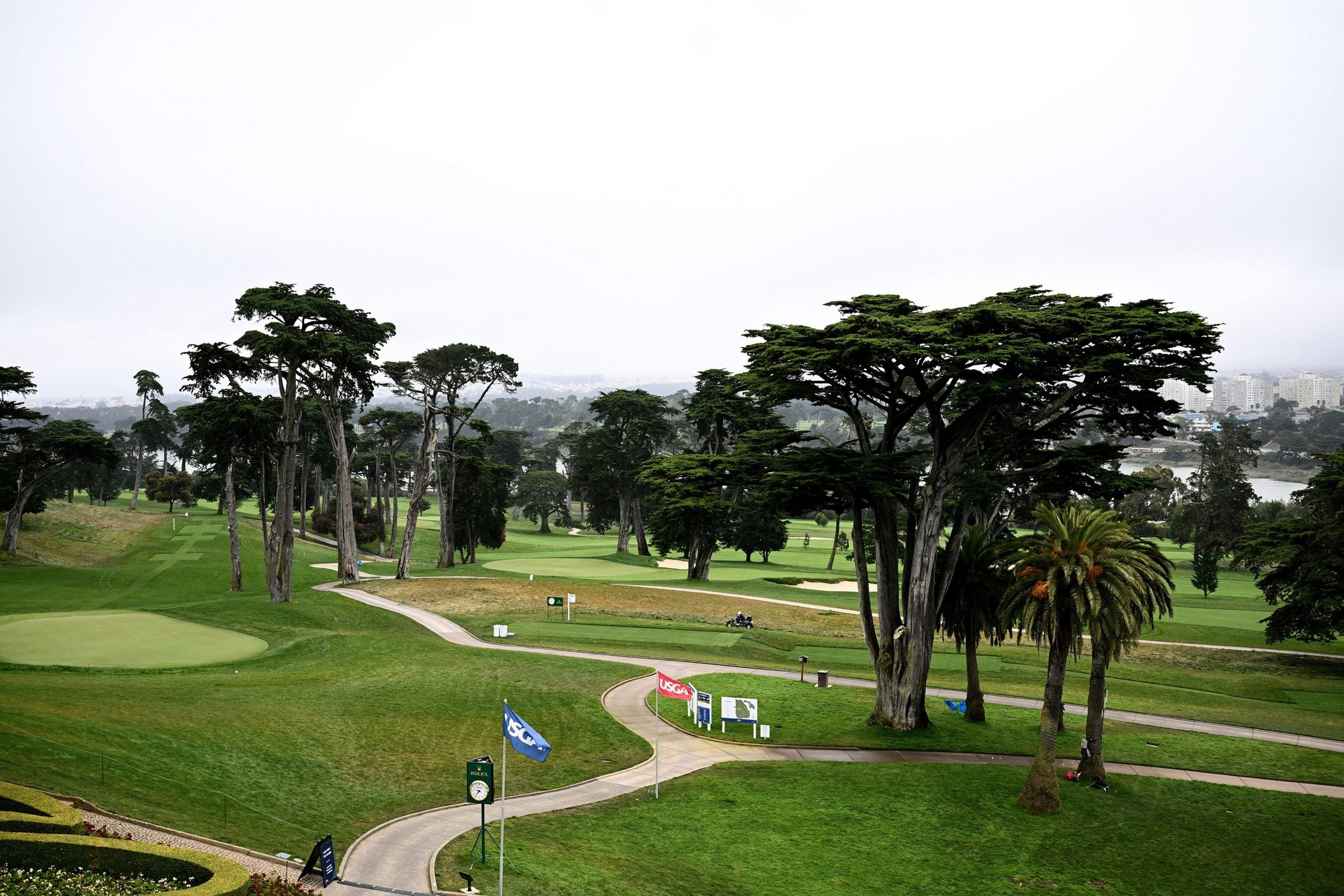 A golf course with neatly trimmed grass, winding paths, tall trees including a palm, flags, and a distant city skyline under an overcast sky.