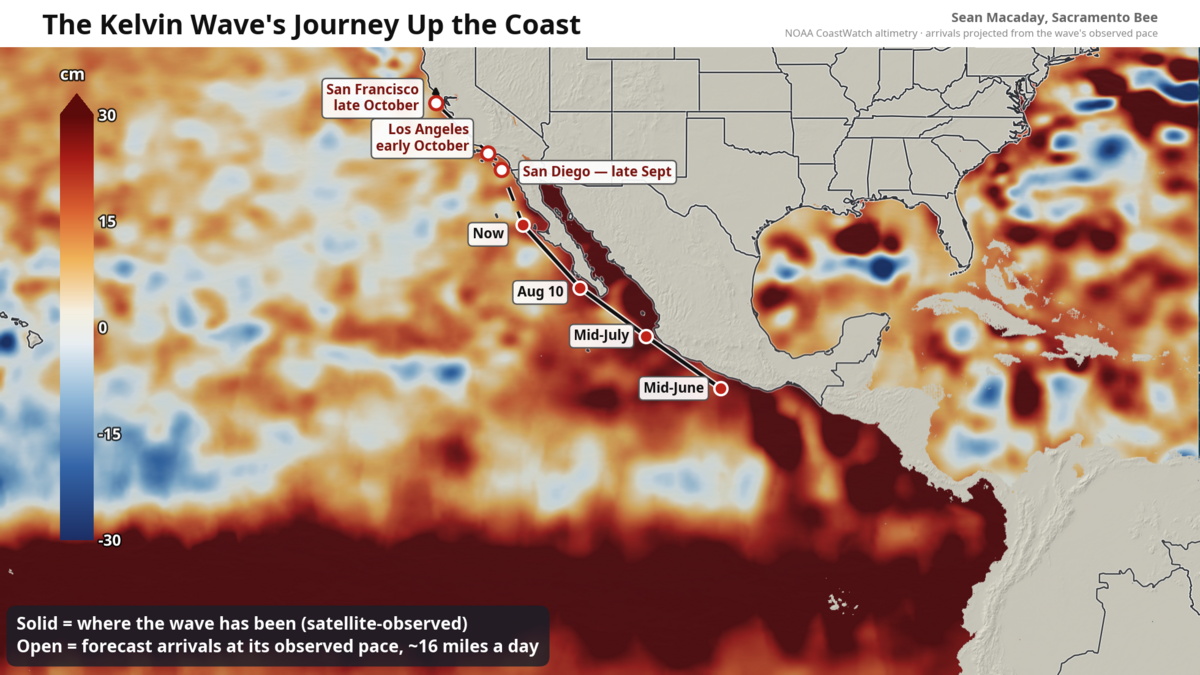 Kelvin waves headed for California coast this fall