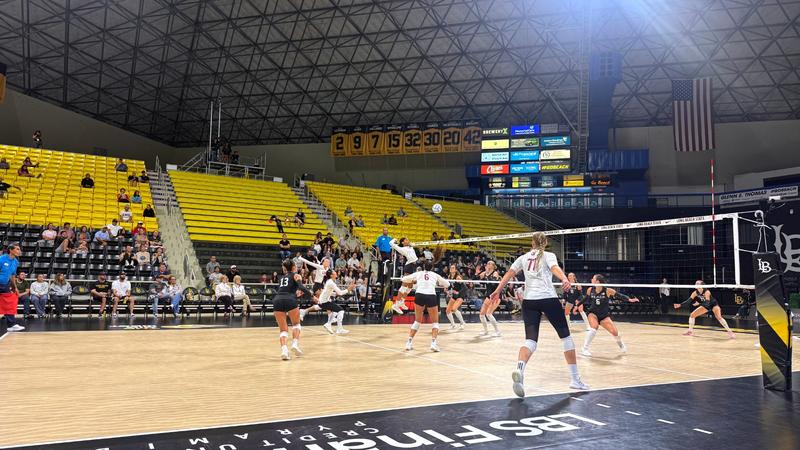 Lions Drop Road Match at Long Beach State on Sunday