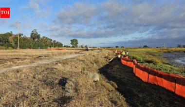 Palo Alto built San Francisco Bay’s first horizontal levee to reuse treated wastewater; the 500-foot living slope restores marsh habitat and tests defenses against sea-level rise
